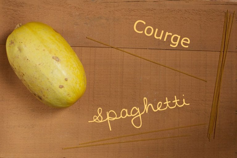 Courge spaghetti : cuisson & préparation