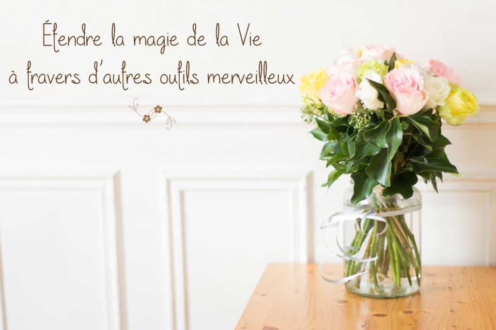 conseils-holistiques-autres